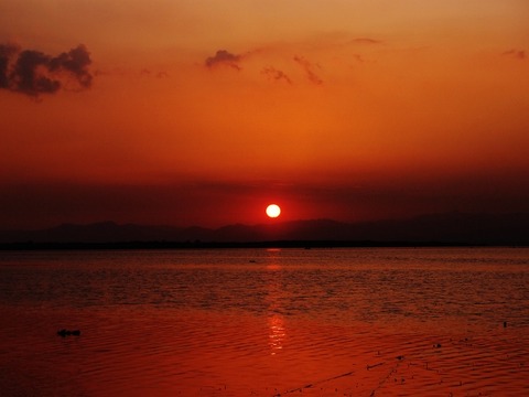P3180443 (640x480)