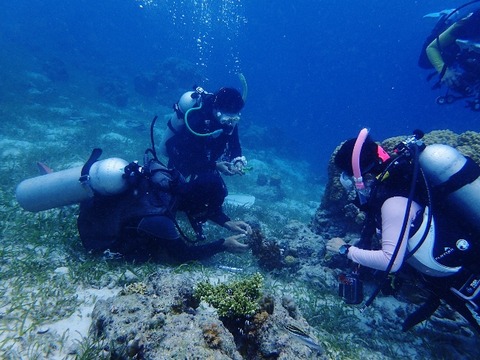 P8230192 (640x480)
