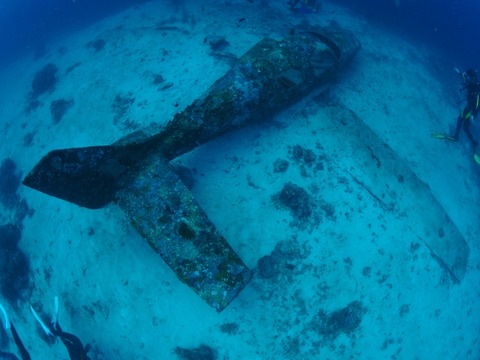 P8140351 (640x480)