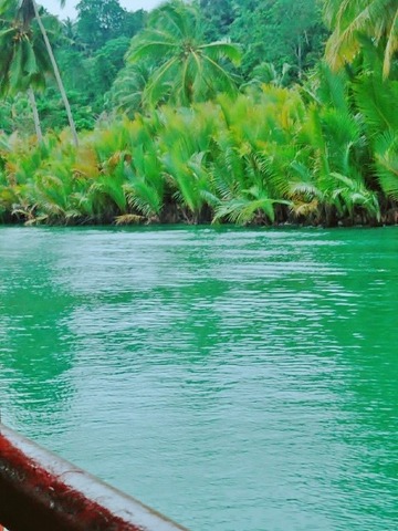 CEBU_190129_0019 (480x640)