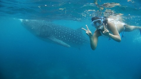 P4130948 (640x360)