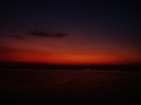 P3180447 (640x480)