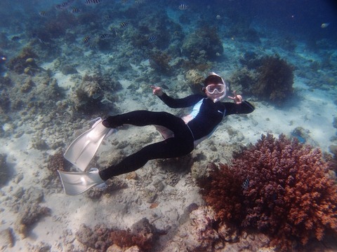PB224187 (640x480)
