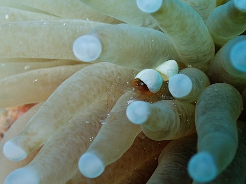 P5060670 (640x480)