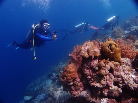 P1016547 (640x480)