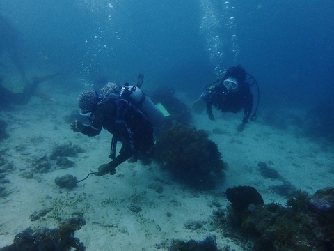 PC270016 (640x480)