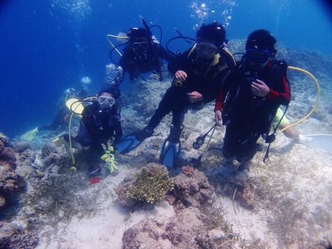 P3279331 (640x480)