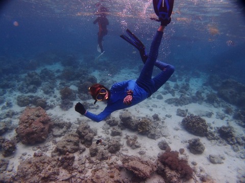 P9256549 (640x480)