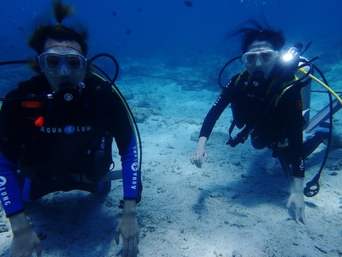 P4150277 (640x480)