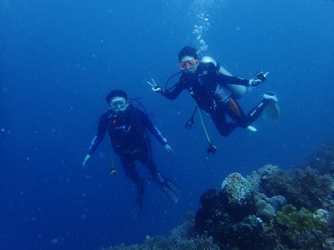P1120036 (640x480)