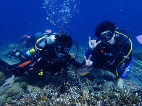 P4230593 (640x480)