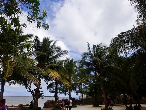 P1310130 (640x480)