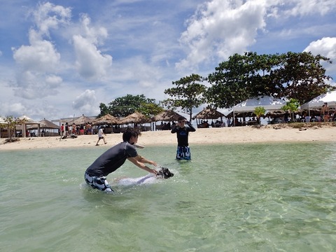 P3031549 (640x480)