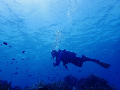 P9051931 (640x480)