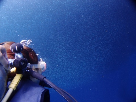 PA317681 (640x480)