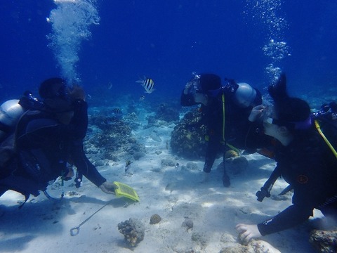 P5060630 (640x480)
