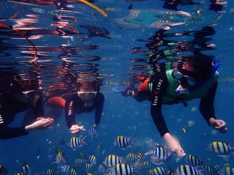 P6100428 (640x480)