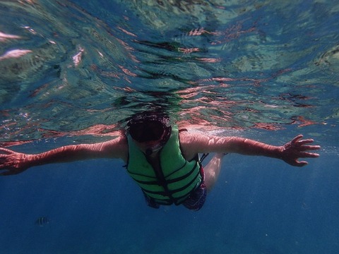 P6220931 (640x480)
