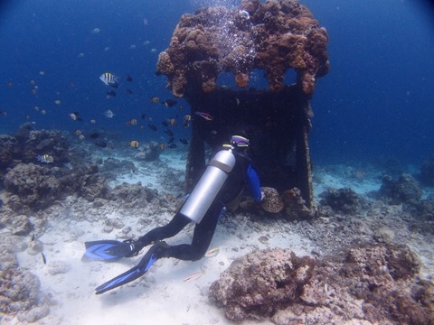 P8285480 (640x480)