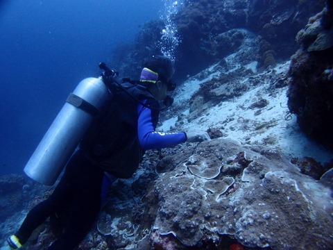 P8285463 (640x480)