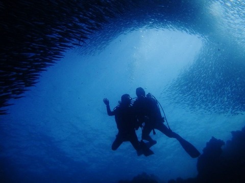 14632976_1279826348748767_807247041224945267_n (640x480)