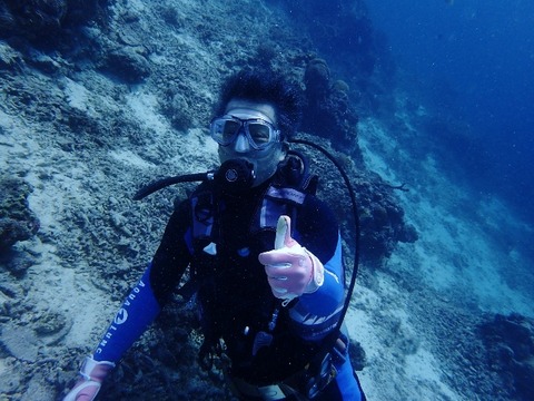 P1270007 (640x480)