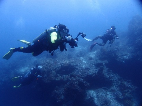 P1027527 (640x480)