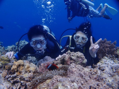 P4159823 (640x480)