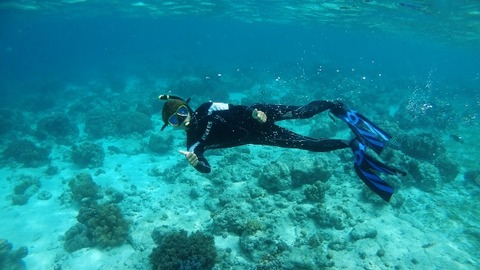 P4090668 (640x360)