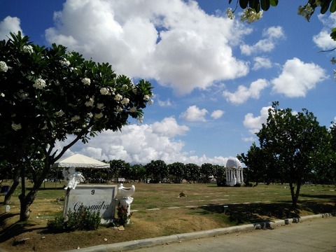 IMG20160518085534 (640x480)