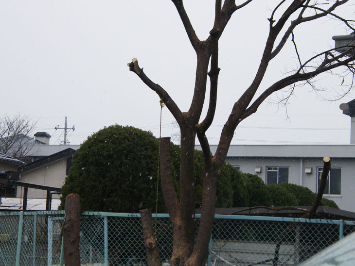 DSCF2649