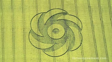 mist8