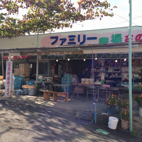 笛吹市御坂町夏観光スポット桃狩り一番人気食べ放題時間制限なし
