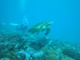 DSC01733