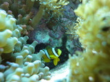 DSC01731