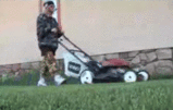 7d04a817.gif
