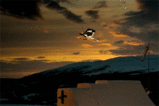 cde6118c.gif