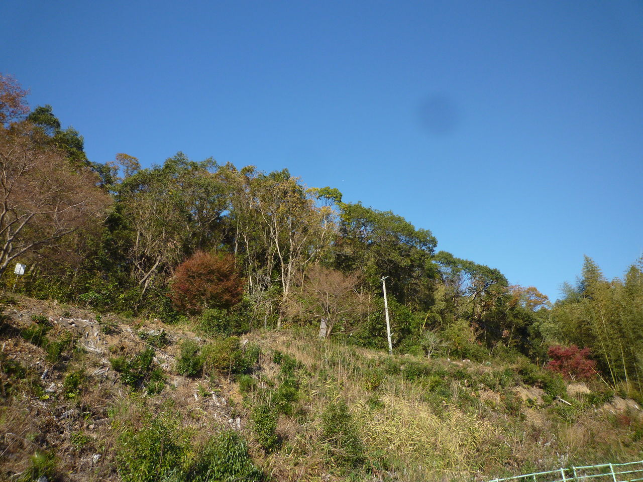 P1080355