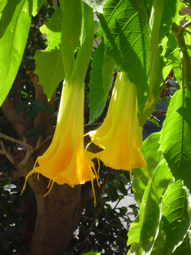 P1080017