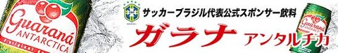 ガラナ・アンタルチカ②