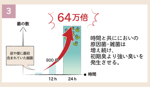 完成_発生のメカニズム3