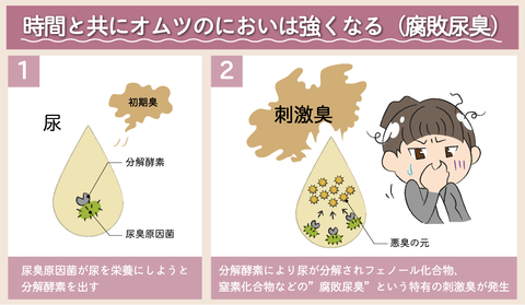 完成_発生のメカニズム1~2