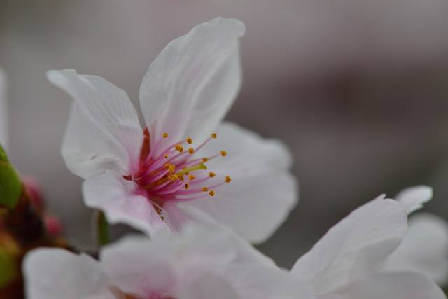 019