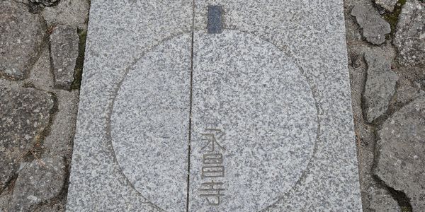 ここの坂道を走ったら、私だとすぐに捕まることでしょう…この日もカメラバッグだけで10kg以上ありました