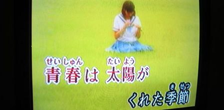 太陽がくれた季節