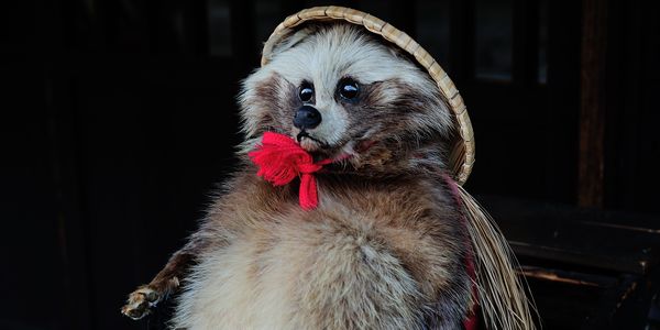 誰が狸で誰が狐?安物の狐と狸もいたりするんですな^^