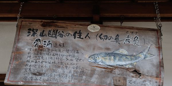 土産に買って帰りたかった骨酒ですが残念、定休日でした