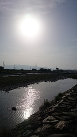 DSC_0008_R