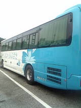 41d0618d.jpg