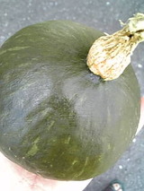 9c338111.jpg